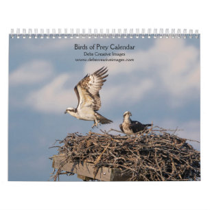 2027 Majestic Raptors Birds of Prey Calendar