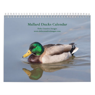2027 Mallard Ducks Wildlife Photography Calendar