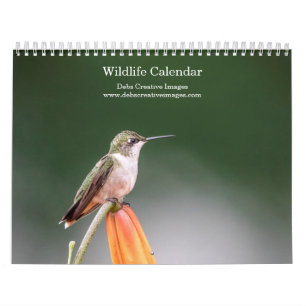 2027 North American Wildlife Birds & Mammals Calendar