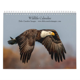 2027 North American Wildlife Nature Photography Calendar