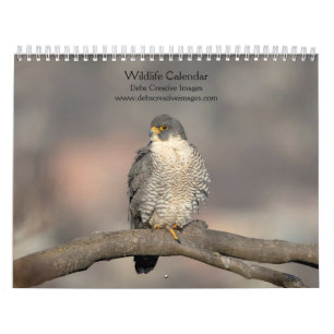 2027 Northeast Wildlife Birds & Mammals Calendar
