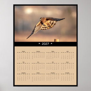 2027 Northern Harrier Wall Calendar Owl-Faced Hawk Poster
