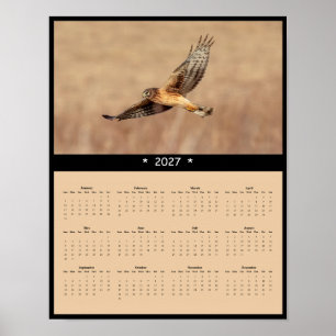 2027 Northern Harrier Wall Calendar - White Rump Poster
