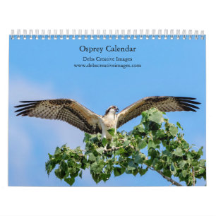 2027 Osprey Majestic Fishing Raptors Calendar