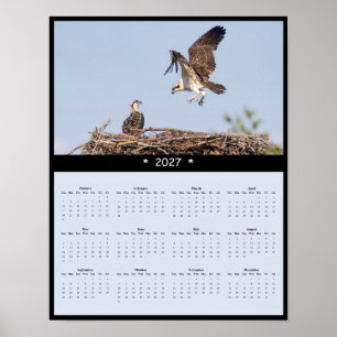 2027 Osprey Wall Calendar - Coastal Birds Poster