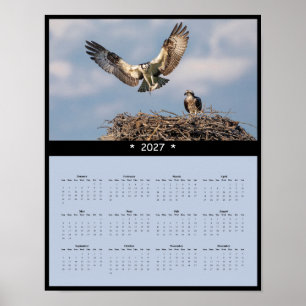2027 Osprey Wall Calendar - Majestic Raptors Poster