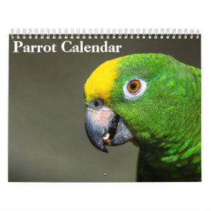 2027 Parrot Calendar