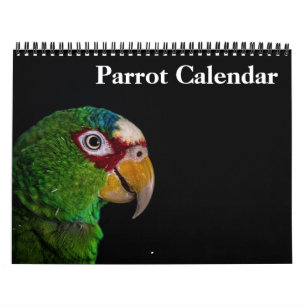 2027 Parrot Calendar
