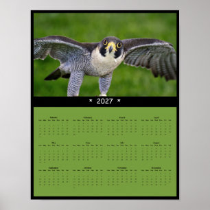 2027 Peregrine Falcon Wall Calendar Poster