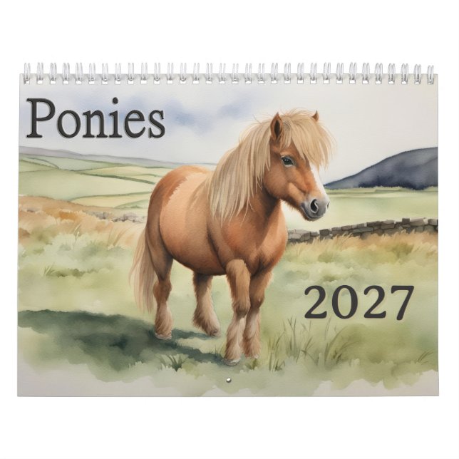 2027 Ponies  Calendar (Cover)