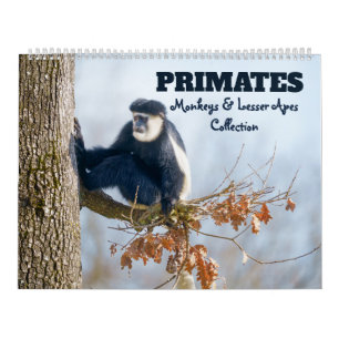 2027 Premier Monkeys & Lesser Apes Calendar