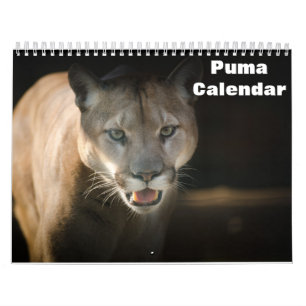 2027 Puma Calendar