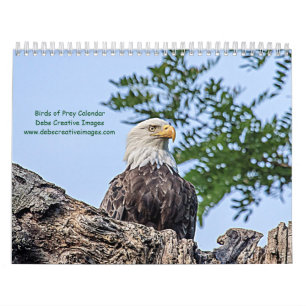 2027 Raptors of New York Wildlife Photography Calendar
