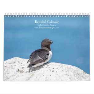 2027 Razorbills Seabirds of Maine Calendar