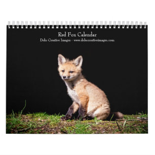 2027 Red Foxes Woodland Wildlife Photography Calendar