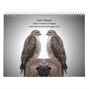 2027 Red-tailed & Cooper's Hawks Wildlife Calendar