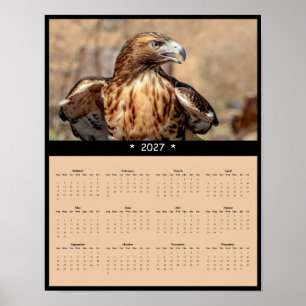 2027 Red-tailed Hawk Wall Calendar - Regal Raptor Poster
