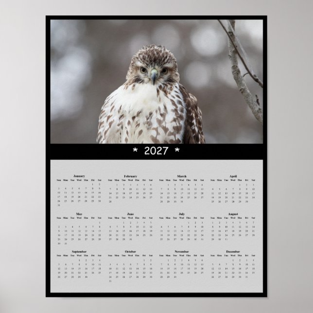 2027 Red-tailed Hawk Wall Calendar Watchful Hunter Poster (Front)