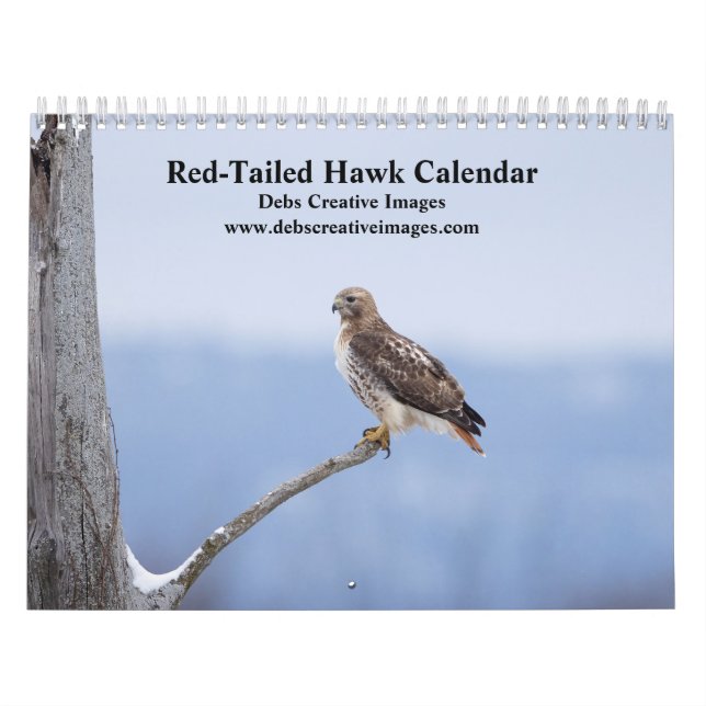 2027 Red-Tailed Hawks in the Hudson Valley Calendar (Cover)