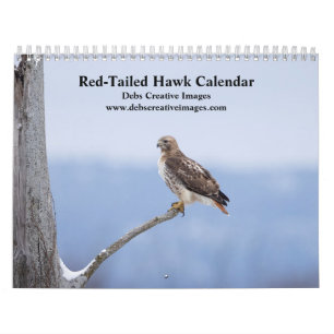 2027 Red-Tailed Hawks in the Hudson Valley Calendar