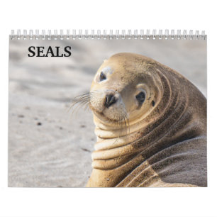 2027 Sea Lion Seals Calendar