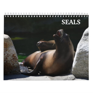 2027 Sea Lion Seals Calendar