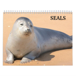 2027 Sea Lion Seals Calendar