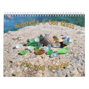 2027 Seashells and Sea Glass Wall Calendar