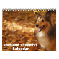 2027 Shetland Sheepdog Calendar