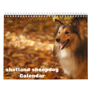 2027 Shetland Sheepdog Calendar