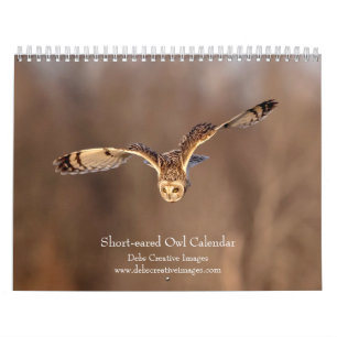 2027 Short-eared Owls, Grassland Raptors in Flight Calendar