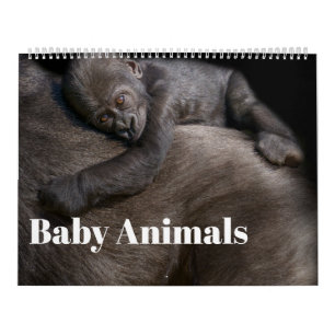 2027 Signature Baby Animals Calendar