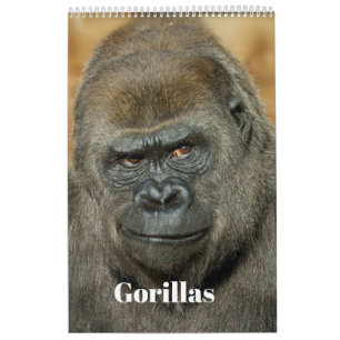 2027 Signature SloggerVlogger Gorilla Family Calendar