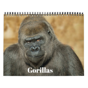 2027 Signature Twycross Zoo Gorilla Family Calendar