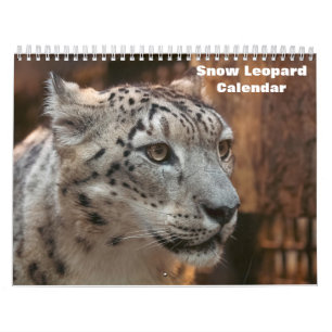2027 Snow leopard Calendar