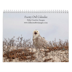 2027 Snowy Owls Arctic Visitors of Connecticut Calendar