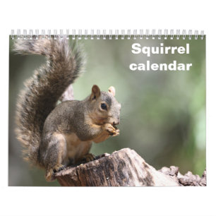 2027 Squirrel Calendar