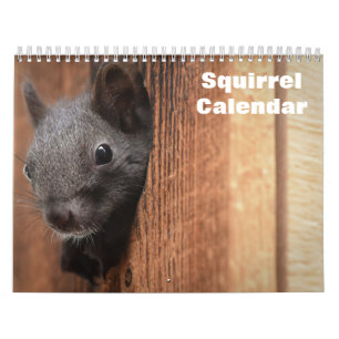 2027 Squirrel Calendar