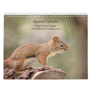 2027 Squirrels Woodland Wildlife Photography Calendar