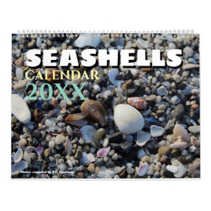 2027 Wall Seashell Beach Shells Calendar