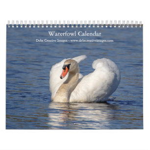 2027 Waterfowl & Wetland Birds Nature Photo Calendar