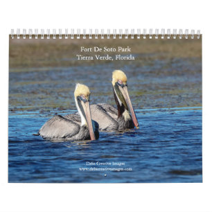 2027 Wildlife at Fort De Soto Park, Florida Nature Calendar