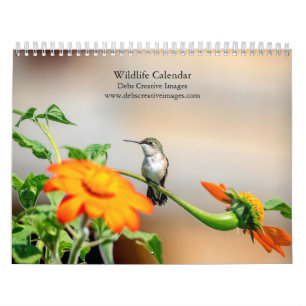 2027 Wildlife Collection North American Nature Calendar