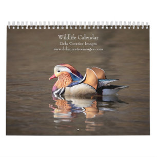 2027 Wildlife of North America Nature Photograph Calendar