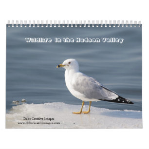 2027 Wildlife of the Hudson Valley Nature Calendar