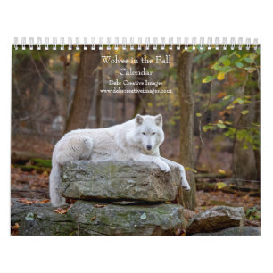 2027 Wolves in Fall Autumn Wolf Photography Calendar
