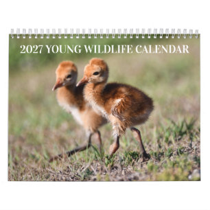 2027 Young Wildlife Calendar