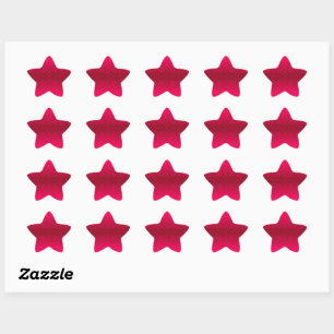202 STAR STICKER