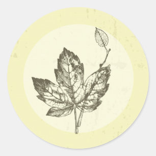 20 - 1.5 Envelope Seal Hand Drawn Fall Leaves