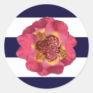 20 - 1.5  Envelope Seal Modern Stripe Navy Blue